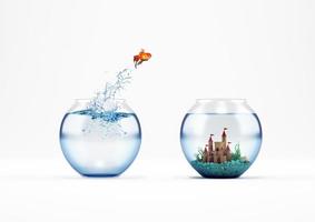 Improvement and progress concept with a jump of goldfish 3D Rendering photo