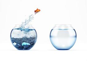 Improvement and moving concept with a goldfish jumping from a dirty aquarium to a clean one photo