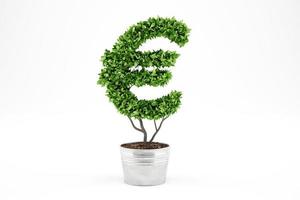 Potted plant with eur shape. 3D Rendering photo