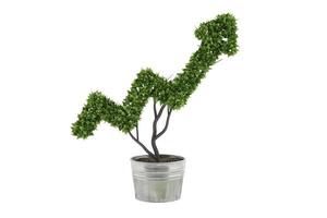 Plant in a pot cut in the shape of an arrow. concept of success and improvements. 3d render photo