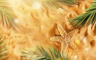 Background of isolated starfish on the golden beach photo