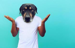 persona con cabeza de un perro es confundido acerca de algo. concepto de conclusión foto