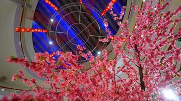 Rotate and follow fake plum blossom video