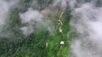 aéreo ver plantación en niebla nube video