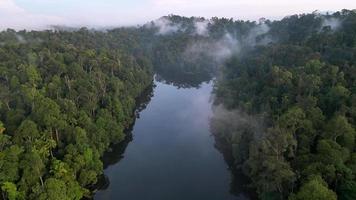 drone coup mouche plus de blanc nuage dans forêt video