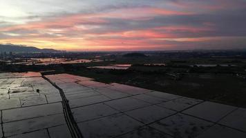 aereo scorrevole al di sopra di risaia campo durante drammatico tramonto ora video