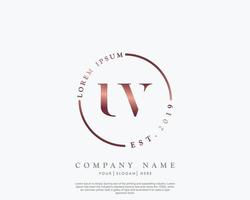 Initial letter UV Feminine logo beauty monogram and elegant logo design, handwriting logo of initial signature, wedding, fashion, floral and botanical with creative template vector