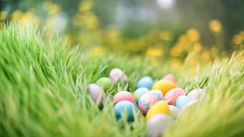 contento Pascua de Resurrección día evento concepto, vistoso antecedentes de pintado Pascua de Resurrección huevos, increíble de colores huevo aislado foto