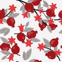 seamless pattern with pomegranate vector