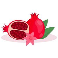 composition with pomegranates vector