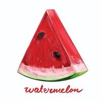 Ripe delicious and juicy sliced watermelon triangle fruit. Vector illustration isolated on plain square white background. Food drawing with textured art style.