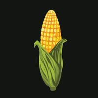 Whole corn yellow vegetable vector illustration isolated on dark square template. Organic greenery farming harvest object drawing with cartoon simple flat art style.