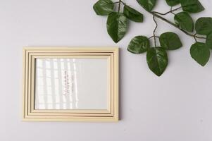 photo top view of frame with plant leaves