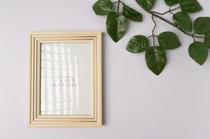 photo top view of frame with plant leaves