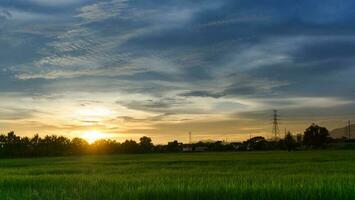 ciudad paisaje ver puesta de sol terminado arroz campo plantación agricultura con casa y telecomunicaciones,comunicación antenas en campo Tailandia