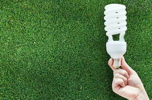 Energy saving concept, Woman hand holding light bulb on grass background,Ideas light bulb in the hand photo