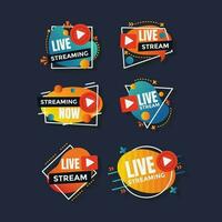 Colorful Dynamic Live Stream Badge vector