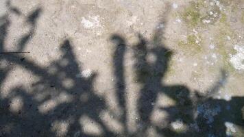 Dark tree abstract shadows with leaves of city asphalt street road into sun light video