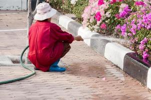 mujer jardinero en uniforme riego árbol con jardín manguera en ciudad parque, jardinero riego árboles, flores foto