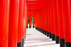 Japanese red wooden poles with blue sky and cloud.Walkway with red wooden poles Japanese style photo