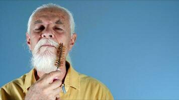 The Old Man Combing his White Beard photo