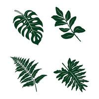 tropical leaf silhouette vector set