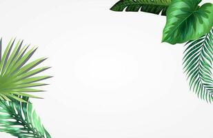 Monstera Leaf Background With Space Area for words or 3d rendering of falling leaves on white background. photo