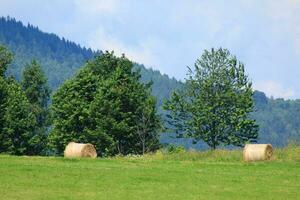 Hay bales at field photo