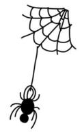 Simple spider on a web in cartoon doodle style. Vector illustration isolated on white background.