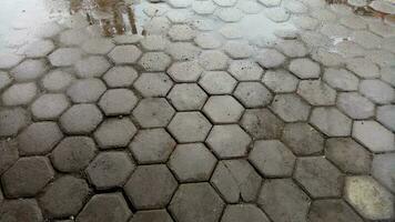 floor outside the house made of hexagon shaped cement bricks photo