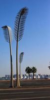 A beautiful view of palm trees light on the road photo