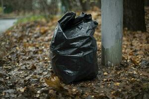 Black garbage bag. Waste bag. Cleaning in park. photo