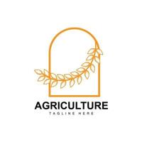 Rice Logo, Agriculture Design, Vector Wheat Rice Icon Template Illustration