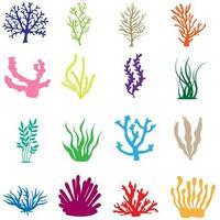 Coral icon vector set. seaweed illustration sign collection. underwater world symbol or logo.