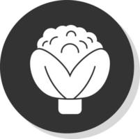 Cauliflower Vector Icon Design