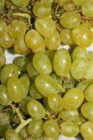 Bunch of Fresh White Grapes. photo