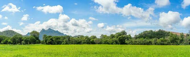Panorama landscape view of green grass field agent blue sky photo