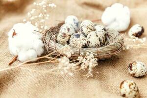 Easter decoration with egg in nest and cotton on white marble background photo