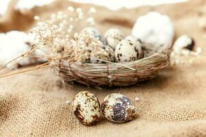 Easter decoration with egg in nest and cotton on white marble background photo