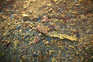 Paint on asphalt. Dirty texture in warm light. Lot of small particles on surface. photo