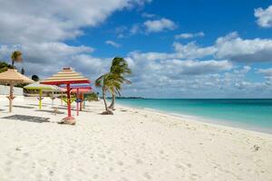 Tropical Beach Cabanas photo