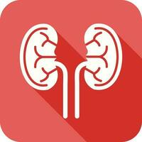 Kidney Glyph Icon vector