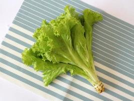 Lettuce is an annual plant from the Asteraceae family. It is most often grown as a leaf vegetable, but occasionally for its stems and seeds. photo