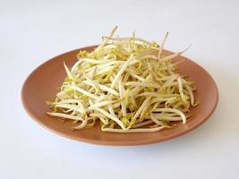 Fresh bean sprouts on a pink plate photo