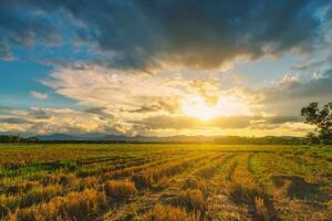Natural scene Sky clouds and field agricultural sunset background