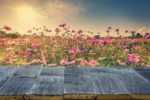 Empty wood table top for product display montage and cosmos flower and sunlight in garden. photo