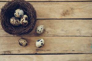 Wood nest and easter eggs on wooden background and texture with copy space. photo