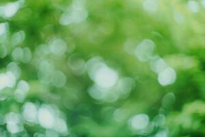 Abstract green bokeh blur background photo