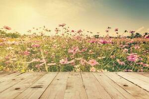 wood table and field cosmos with sunlight. vintage tone photo. photo