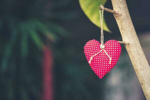 Red heart fabric hanging on branch tree with space photo